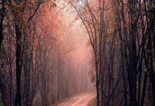 Zcash: What's Driving the Price Surge and Its True Value – And What Reddit Is Missing