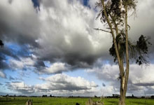 Zcash: What's Driving the Price Surge and Its True Value – And What Reddit Is Missing