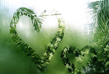 Zcash: What's Driving the Price Surge and Its True Value – And What Reddit Is Missing