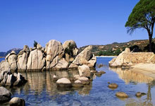 Zcash: What's Driving the Price Surge and Its True Value – And What Reddit Is Missing